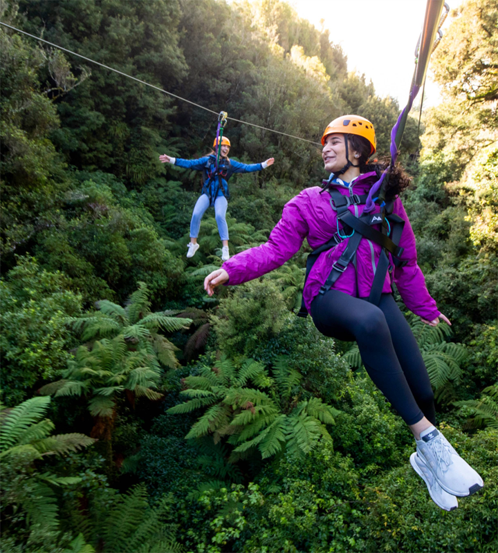 Ultimate Canopy Tour