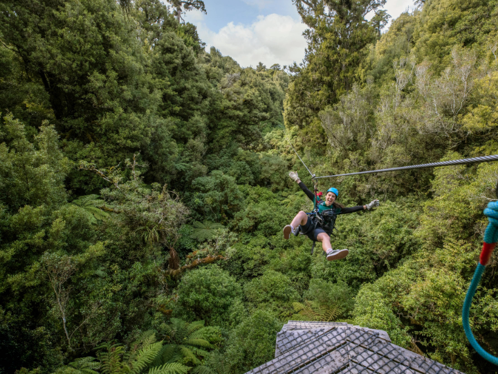 Original Canopy Tour - Adult