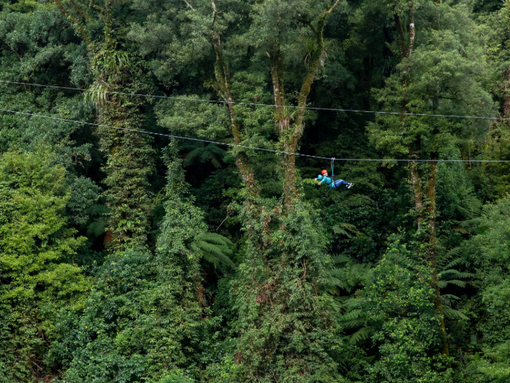 Original Canopy Tour - Couples voucher (2 Adults)