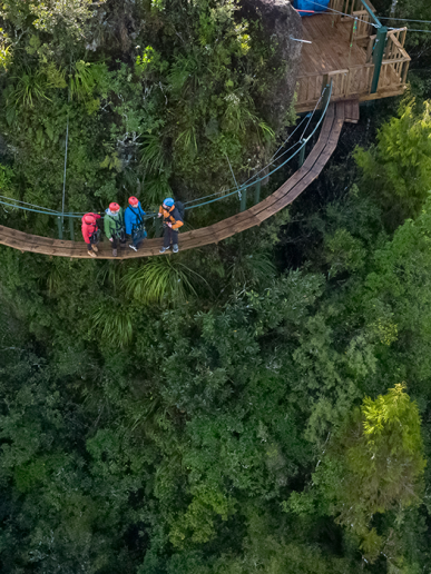 Ultimate Canopy Tour - Exclusive Tour